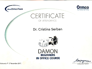 DAMON - Beginners in office course