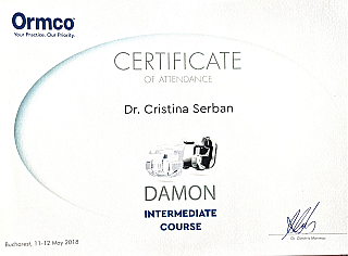 DAMON System - Intermediate Course